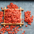 Baies de goji biologiques fraîches séchées wolfberries à vendre